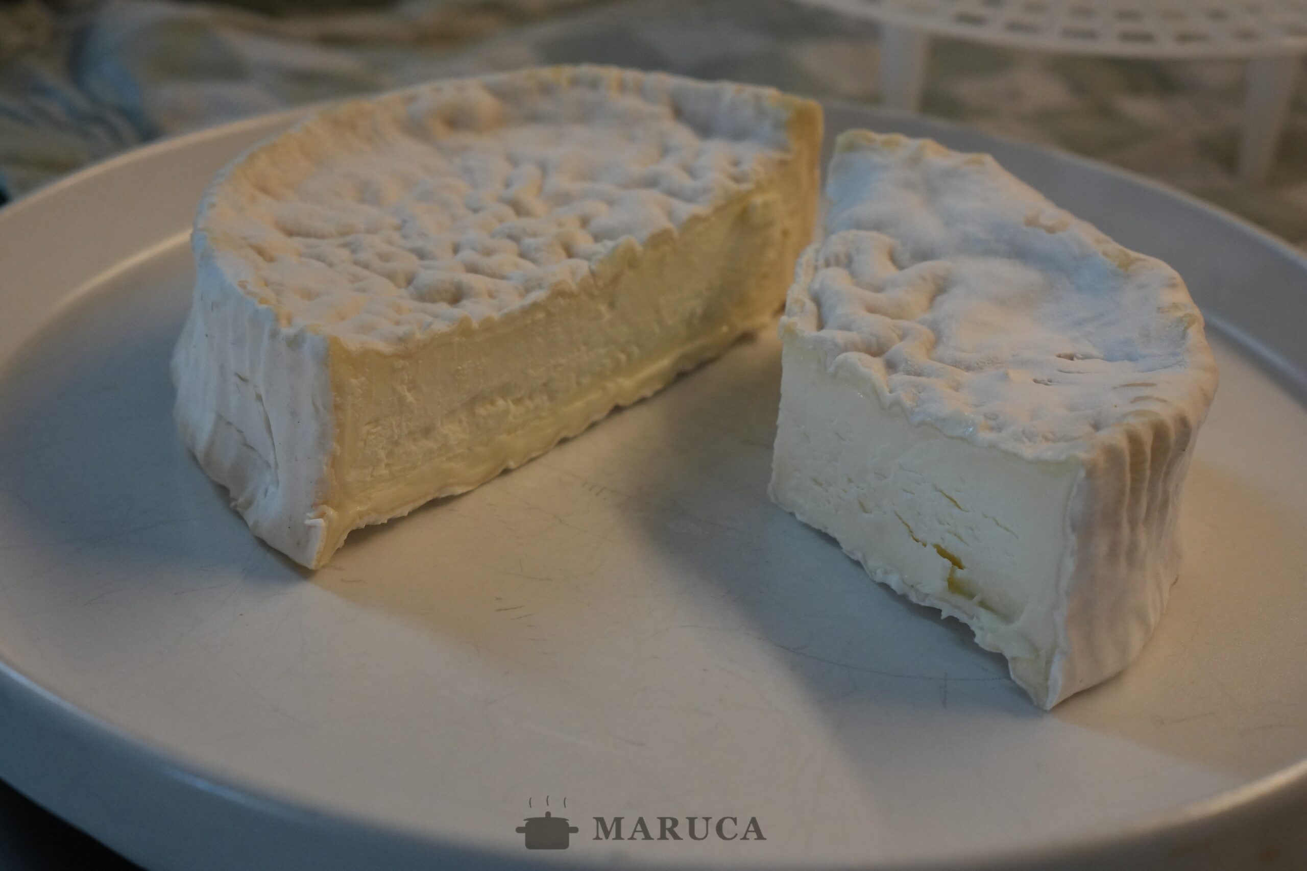 Queso Camembert hecho en casa