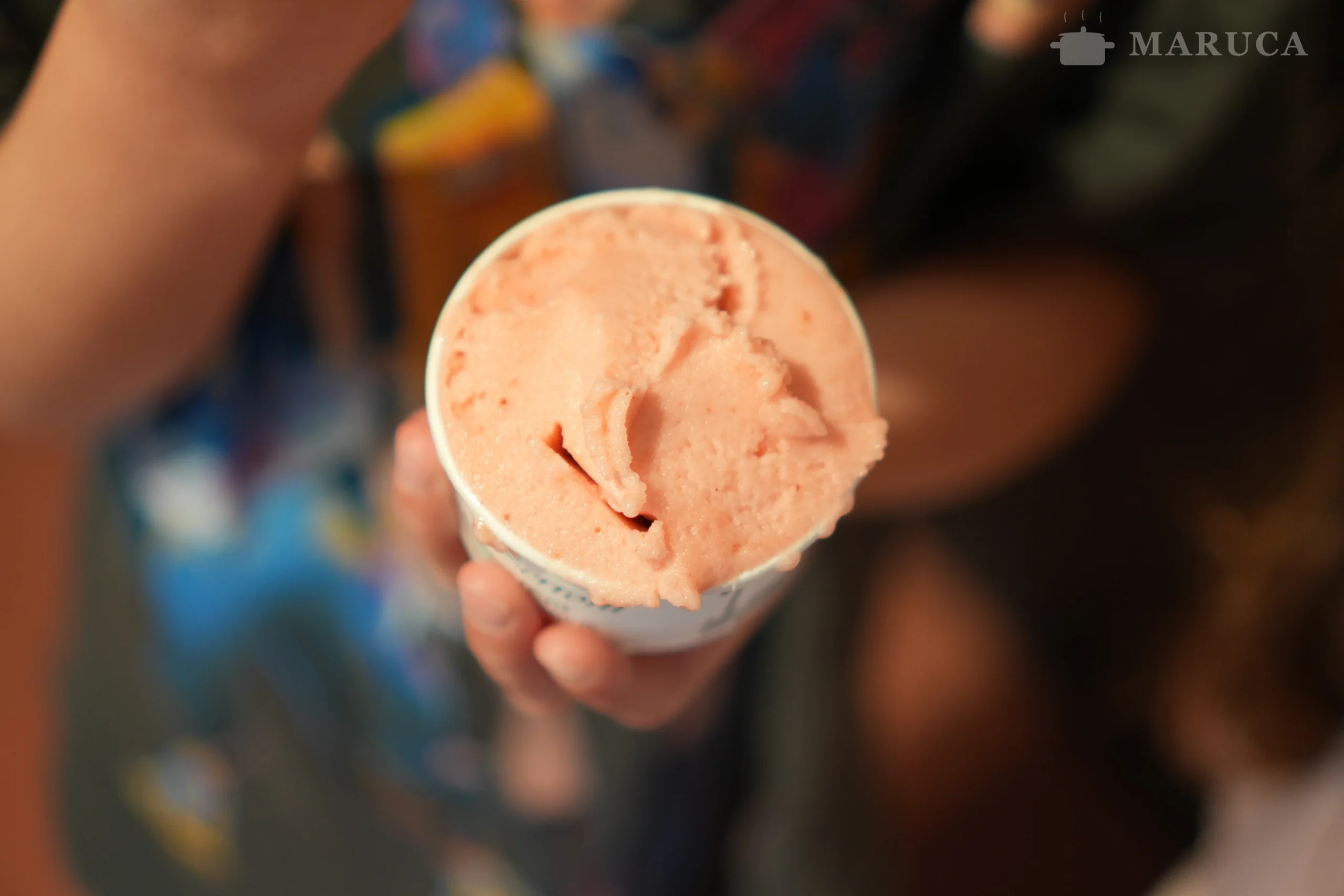 Helado artesanal pin